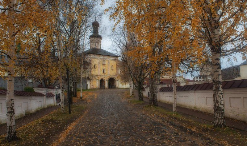 Березы с желтою резьбою... фото превью
