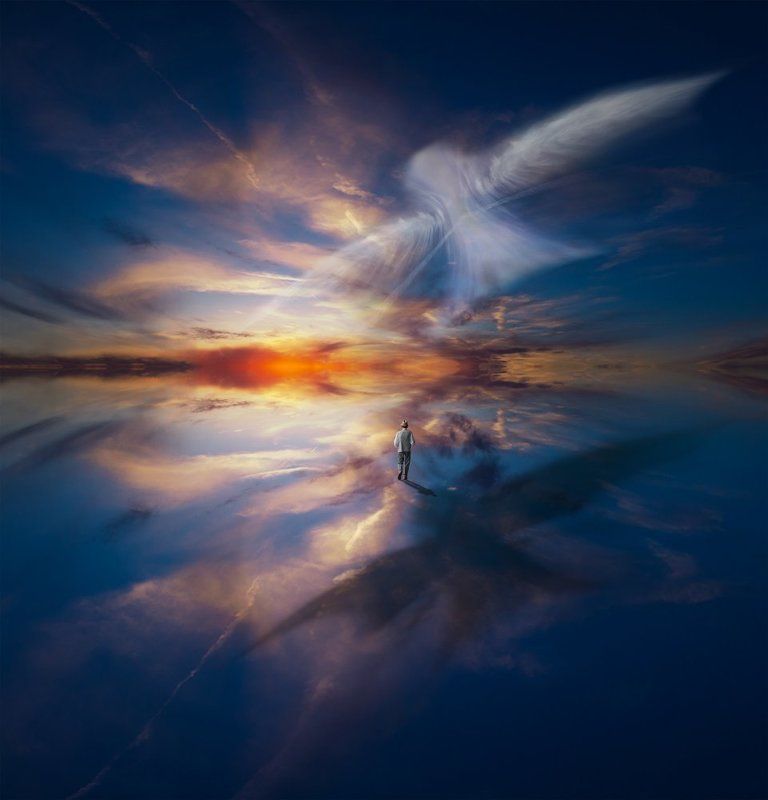 Between Light and Shadow фото превью