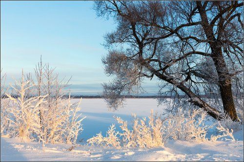 Черное и белое