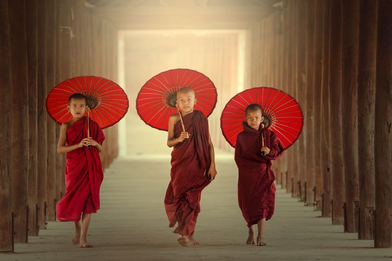 buddha,buddhism,buddhist,boys,portrait, Novice monks фото превью