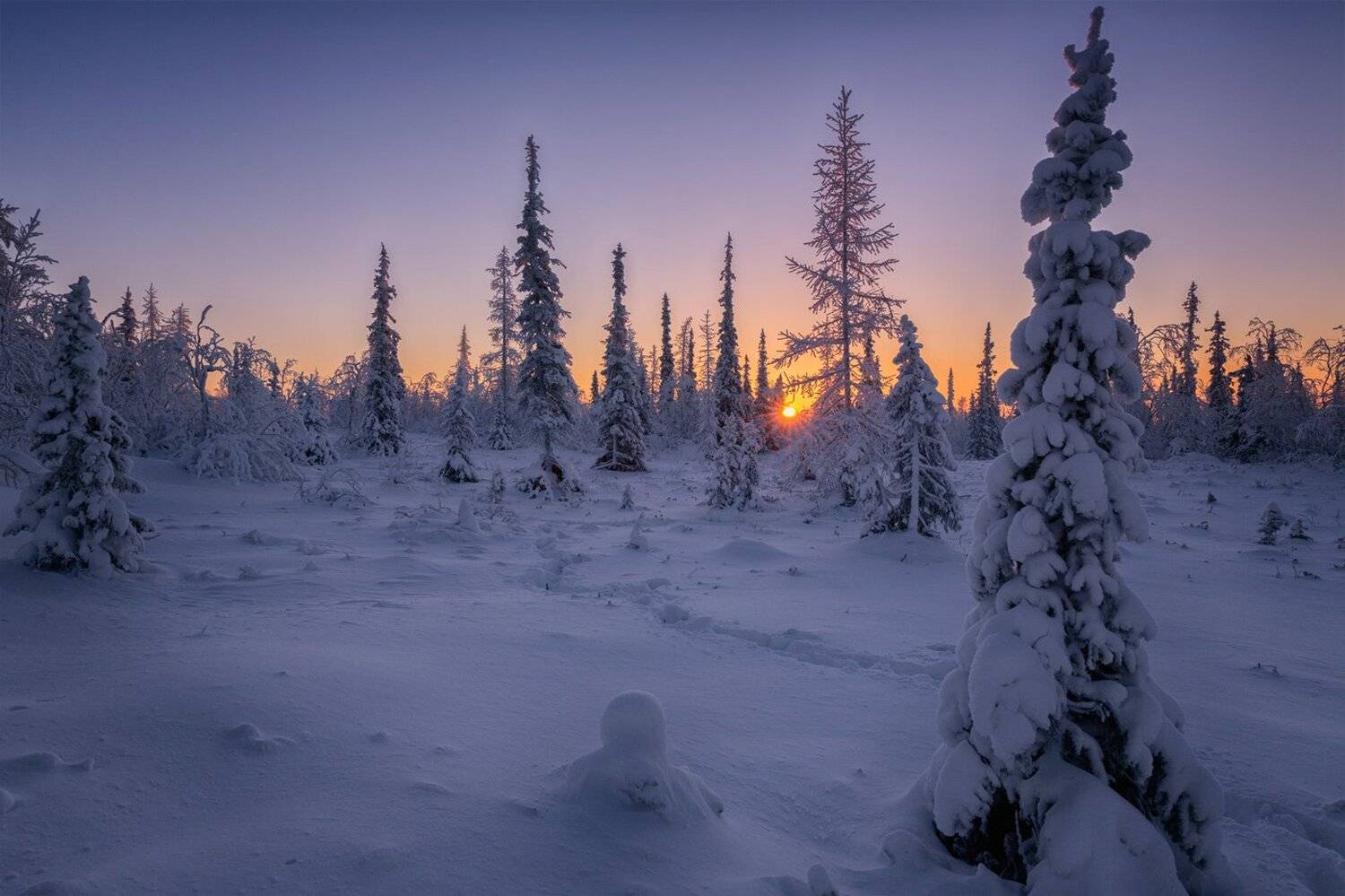 , Евгений Кужилев