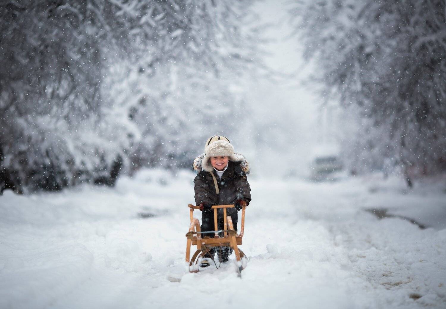 , Евгения Брусенцова
