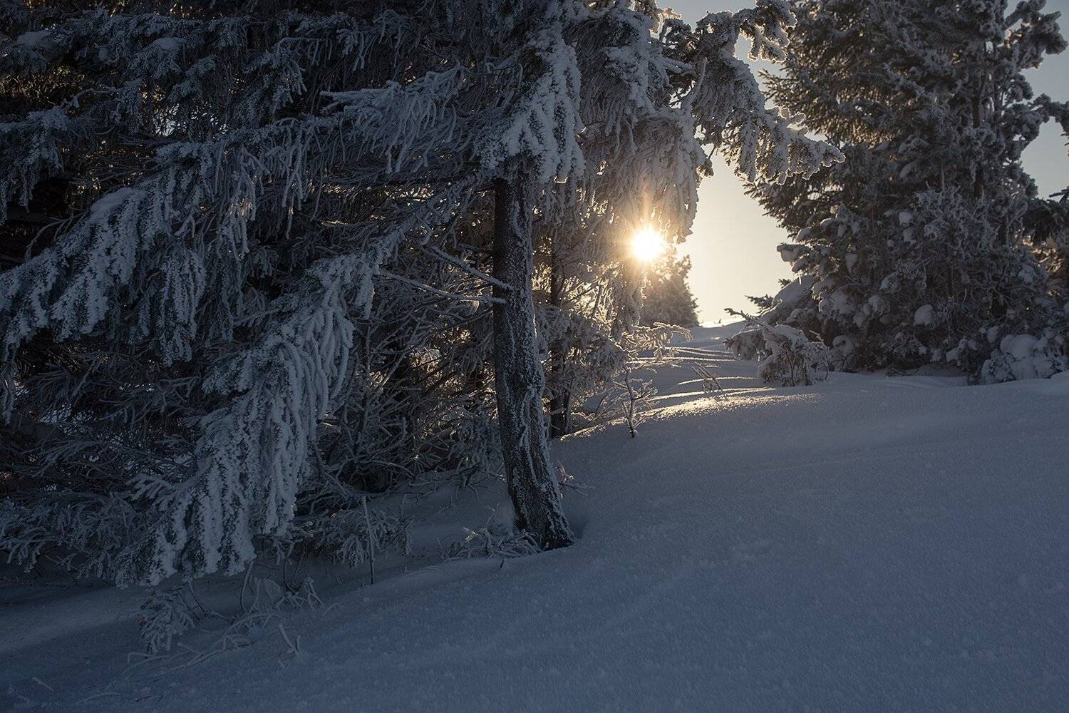 зима, горы, россия, урал, златоуст, снег, солнце, закат, Евгений Толкачёв