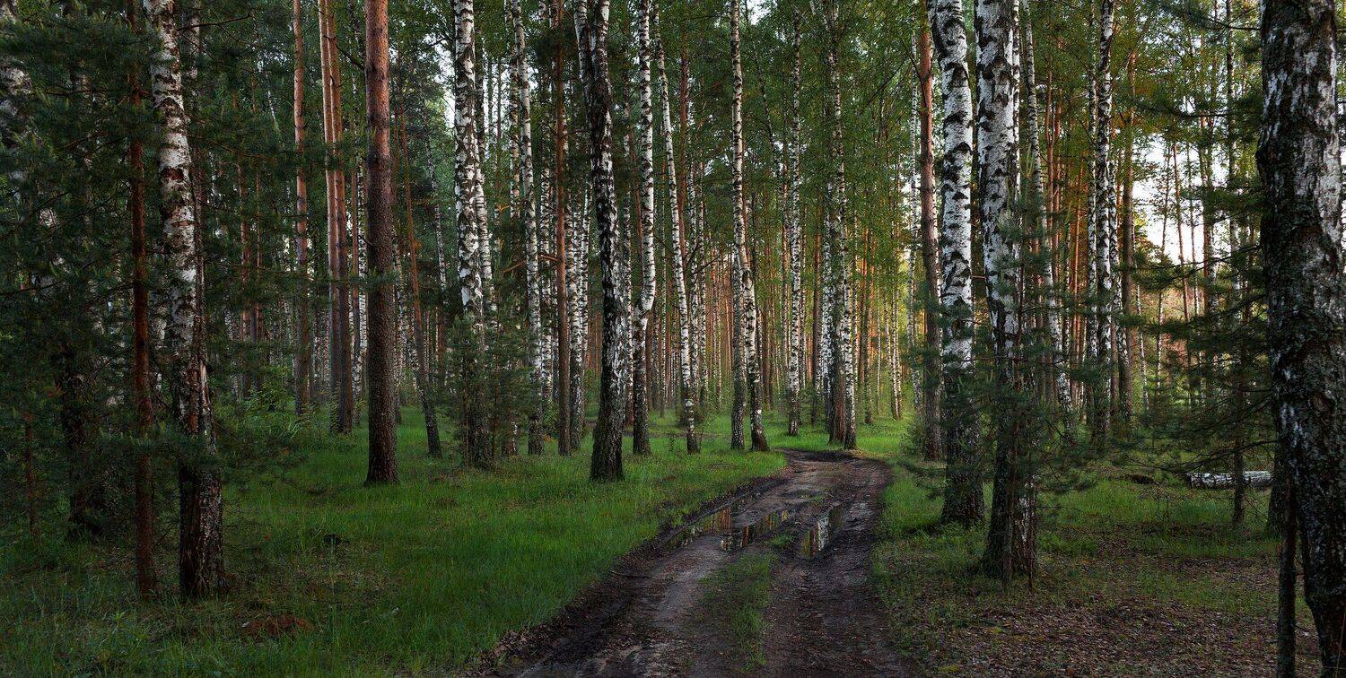 Тверь, Тверская область, Торопов Роман