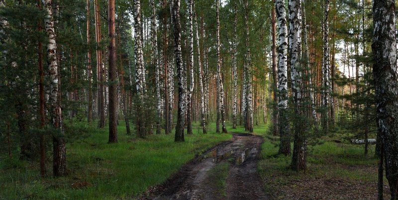 Тверь, Тверская область  фото превью