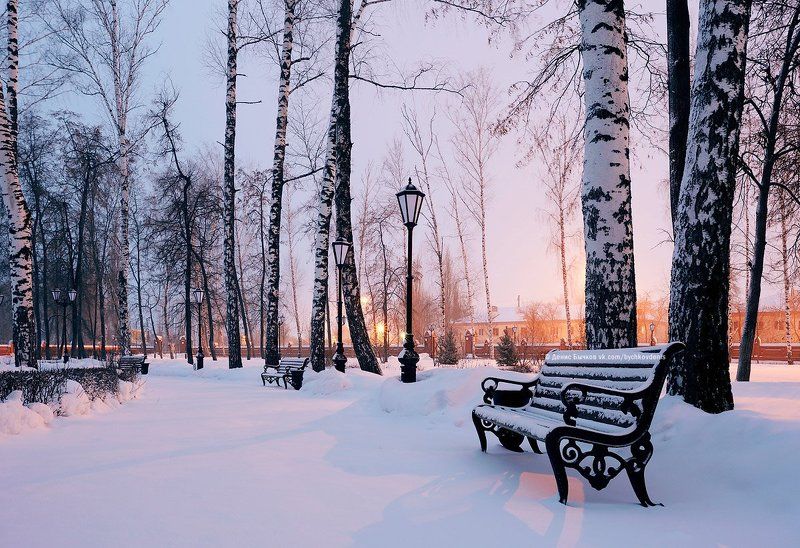 воронеж, Рамонь, зима *** фото превью