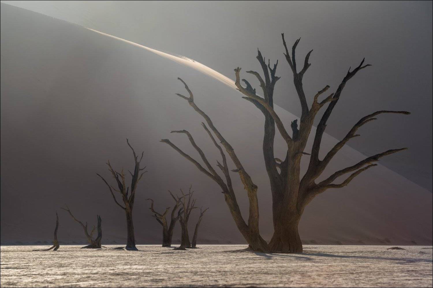 Намибия, Deadvlei, Leonid Shtishevskiy