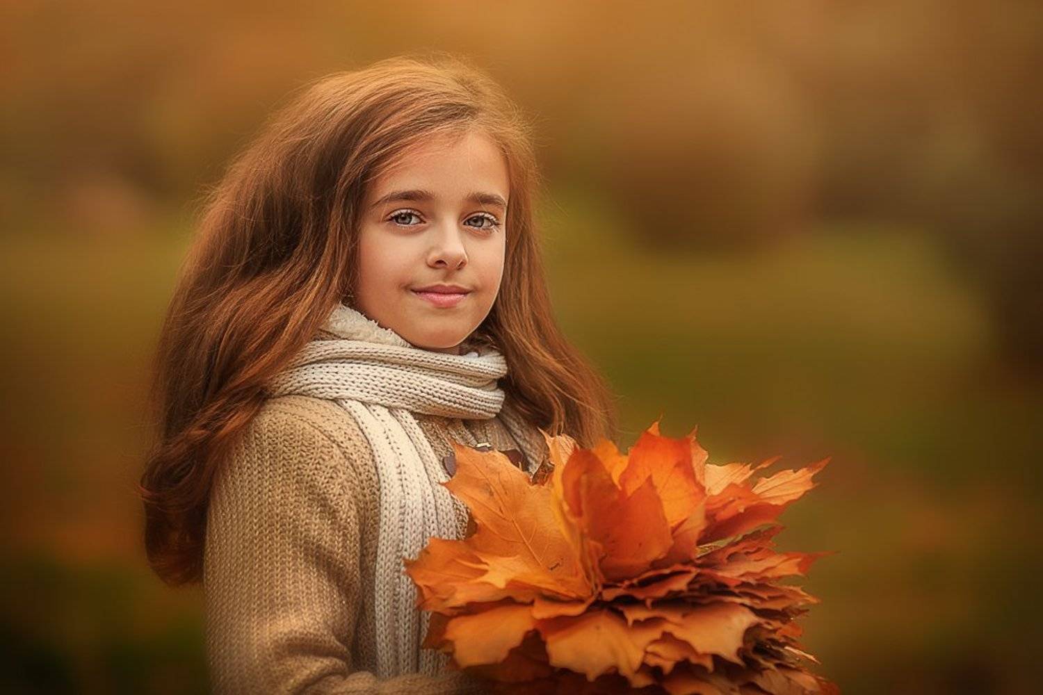 осень, листья, цвет, солнце, Захаркова Екатерина