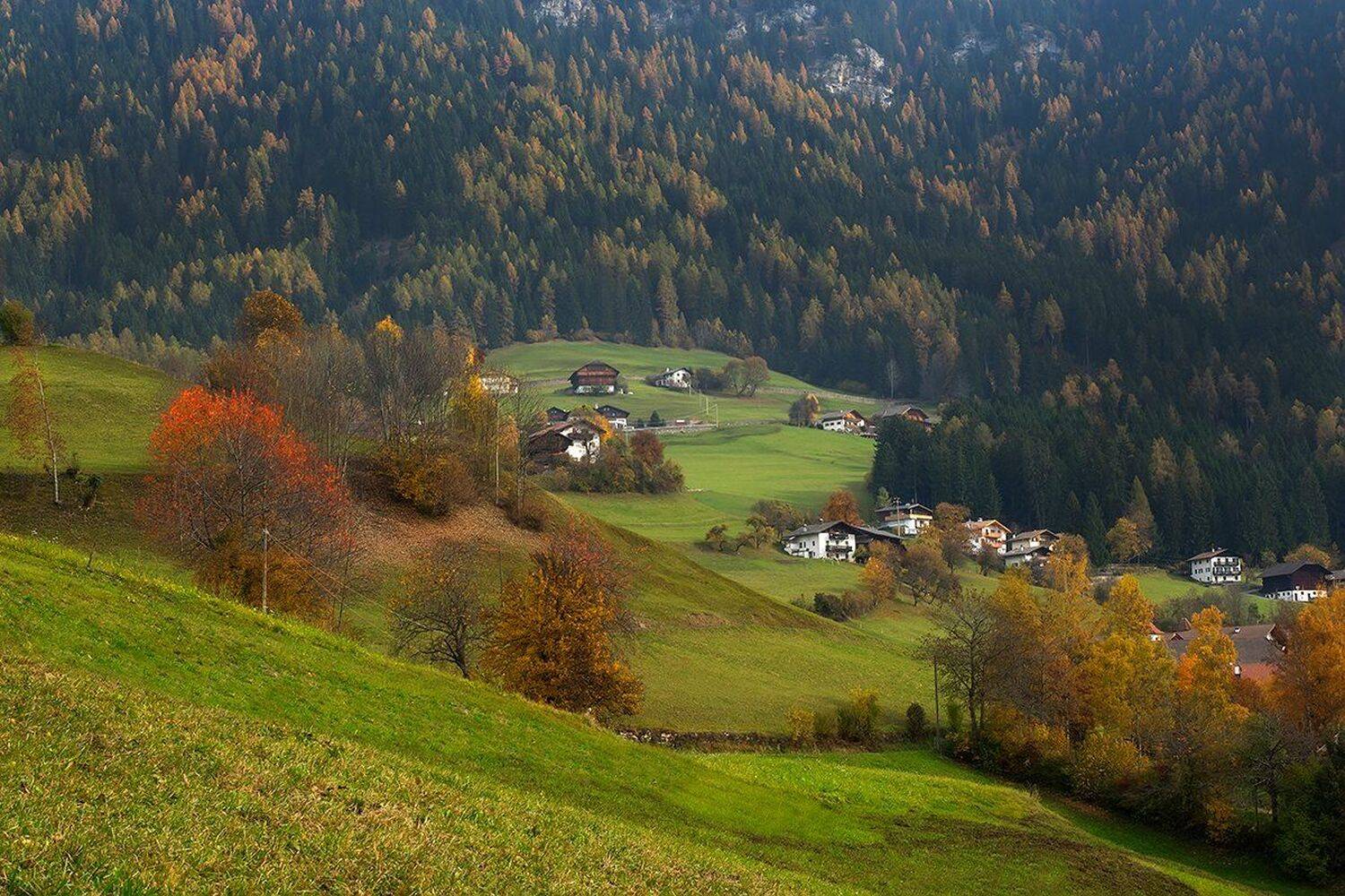 , Игорь Дубровский