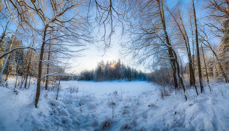 печерск, лес, озеро, зима, могилев, беларусь Печерский лес фото превью