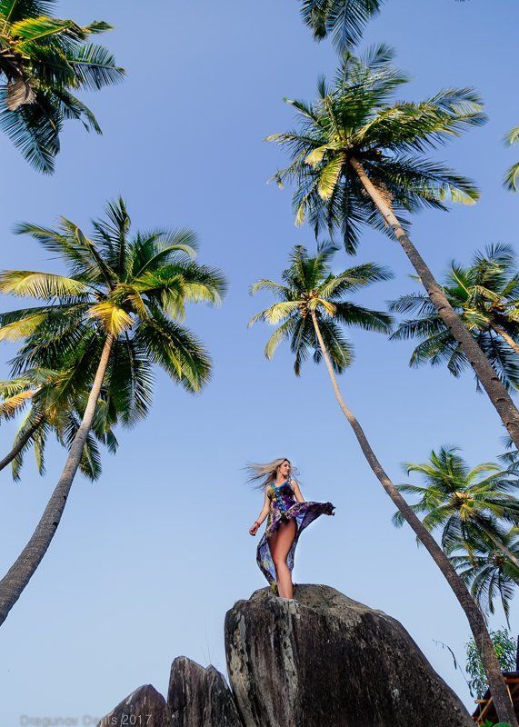 фото превью