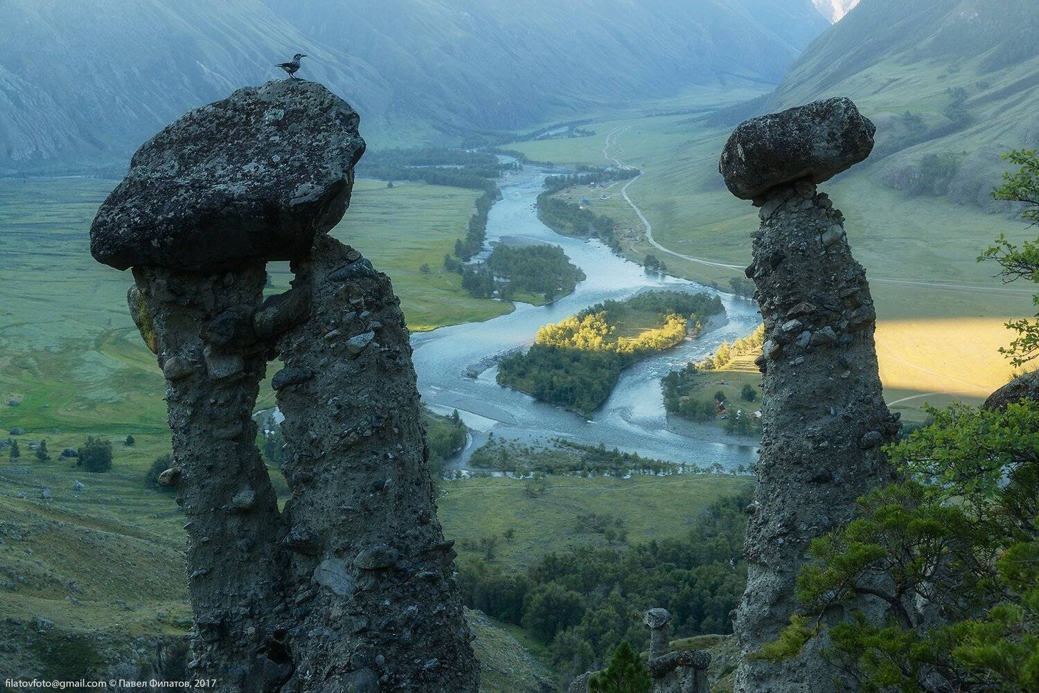 алтай, altai, сибирь, siberia, pavel filatov, павел филатов, чулышман, каменные грибы, рассвет, кедровка, Павел Филатов