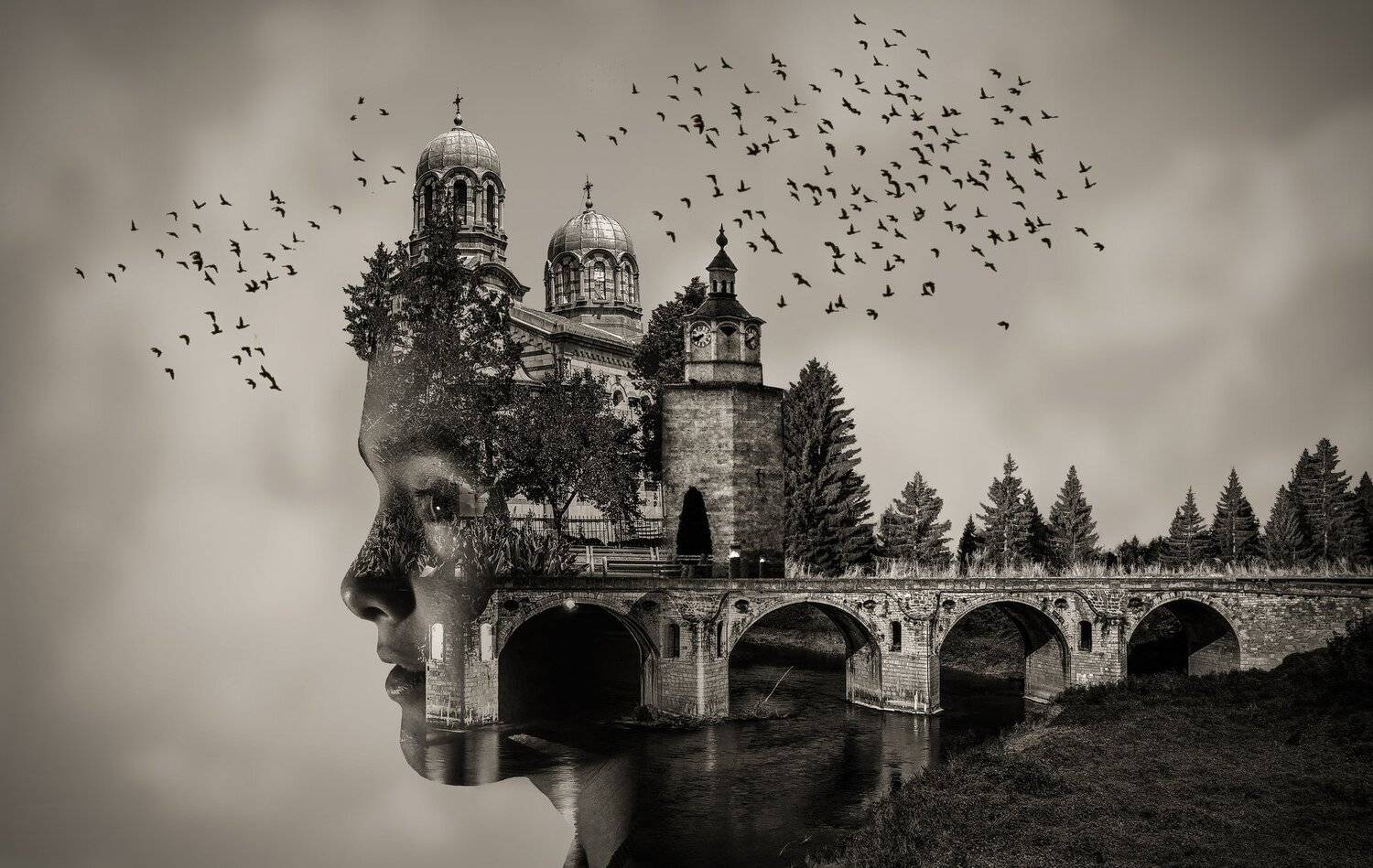 ceclii, lgg4, photoshop, Tsvetan Ganev