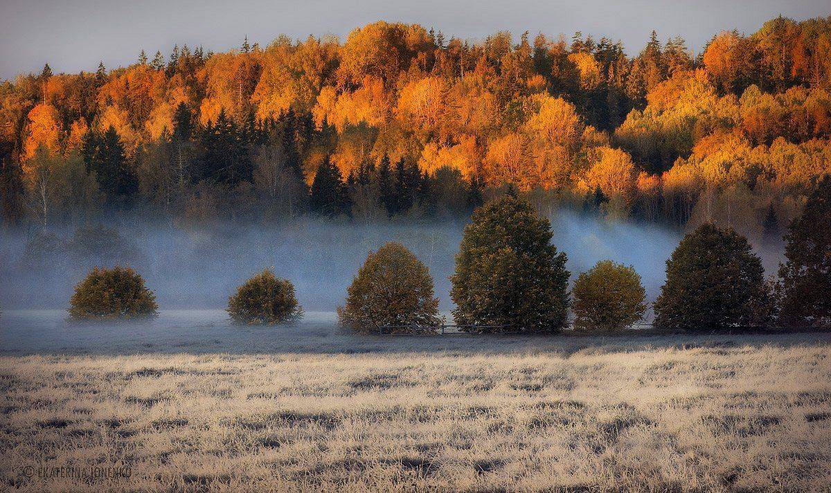 , Екатерина Ионенко