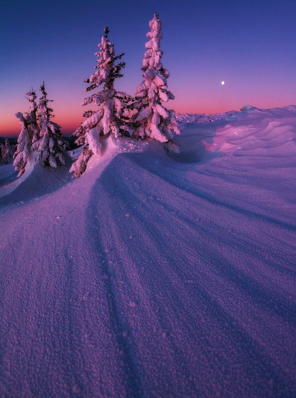 Вольный ветер фото превью