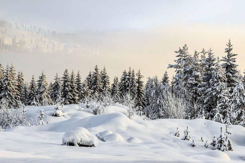 Cold morning. фото превью