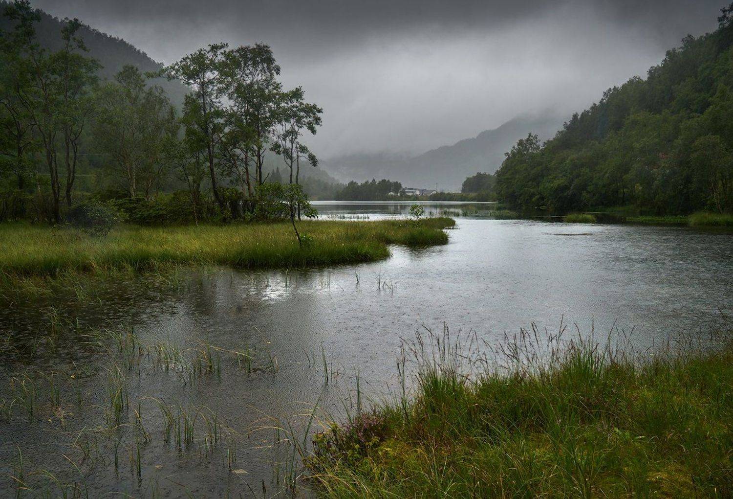 такая погода..., Boris Bekelman