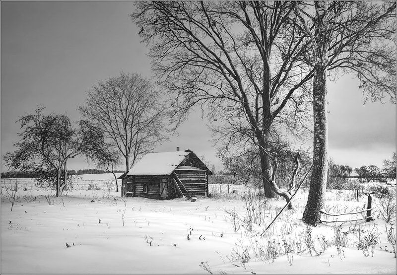 *** фото превью