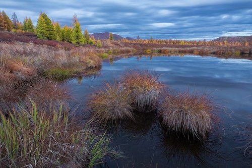 Отражая пасмурное небо