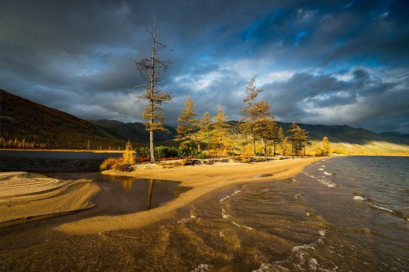 колыма, озеро джека лондона, река пурга, магаданская область, россия, озеро, утро, рассвет, лиственницы, волны, ветер, песок, берег На всех парусах фото превью