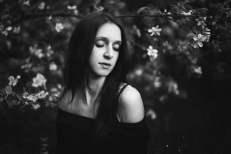 x фото превью