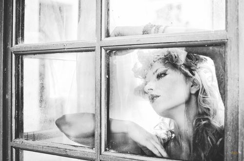 Window