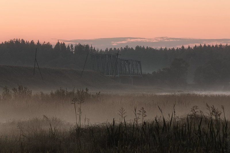 красота, красиво, пейзаж, лето, волга, река, тверская область, природа, утро, рассвет  фото превью