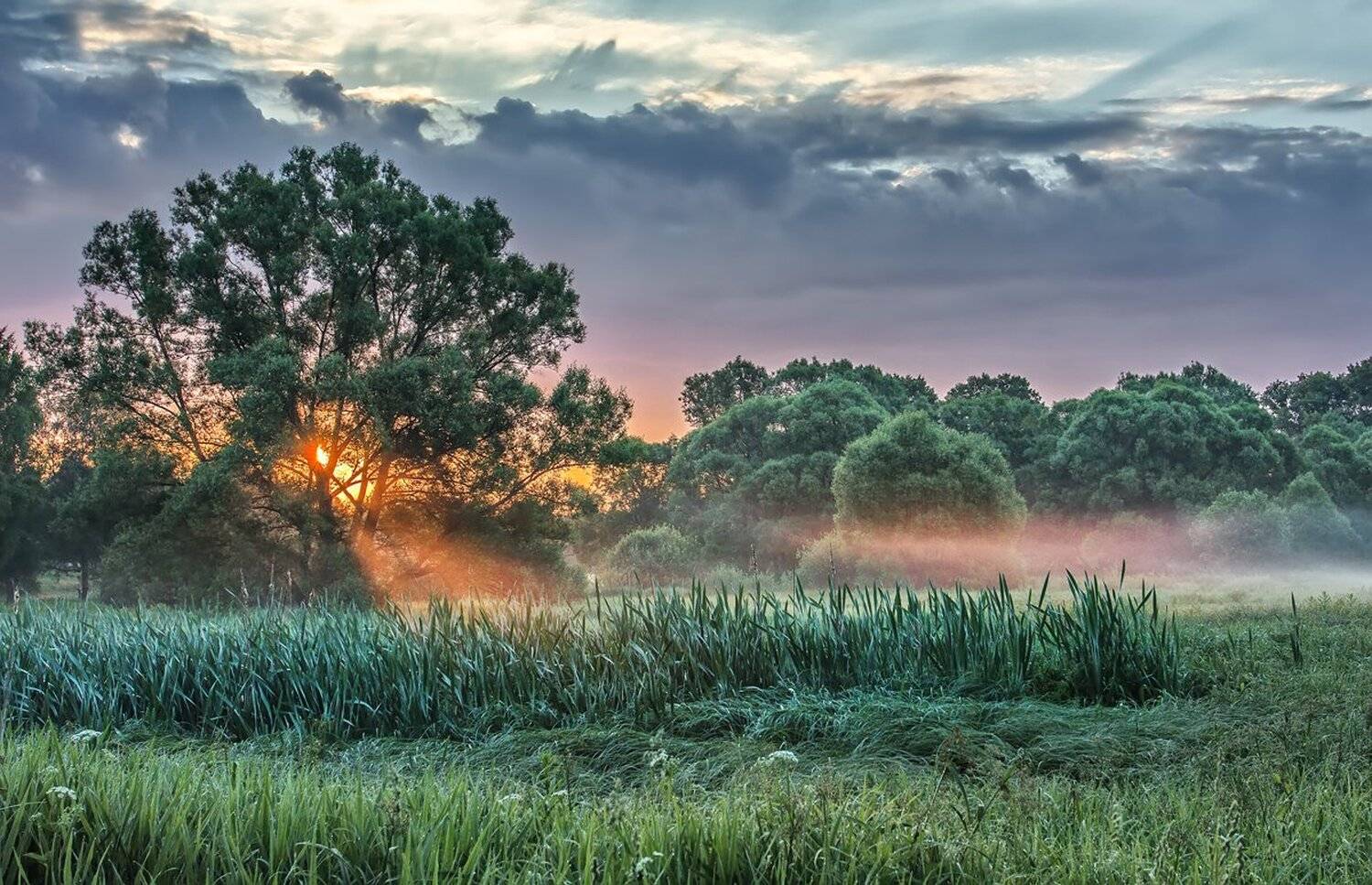 , Николай Андреев