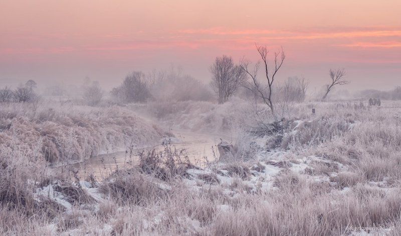 winter time :) фото превью