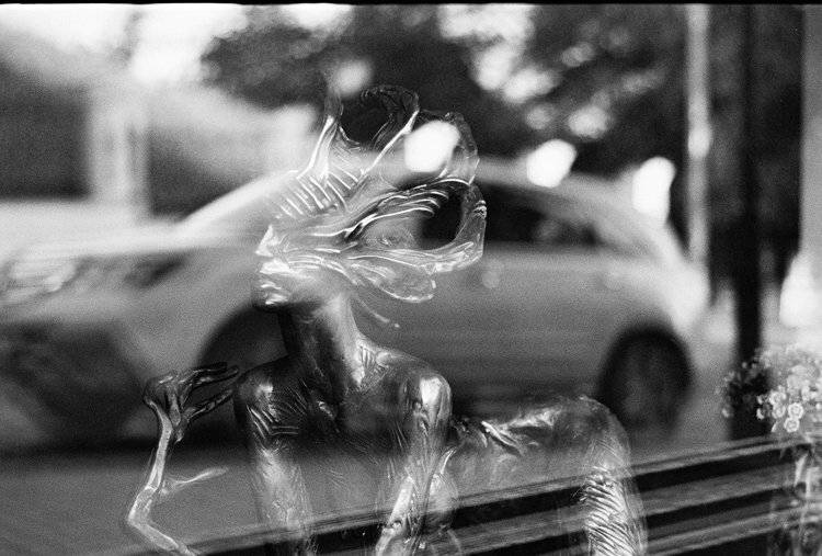 , Олег Вахник