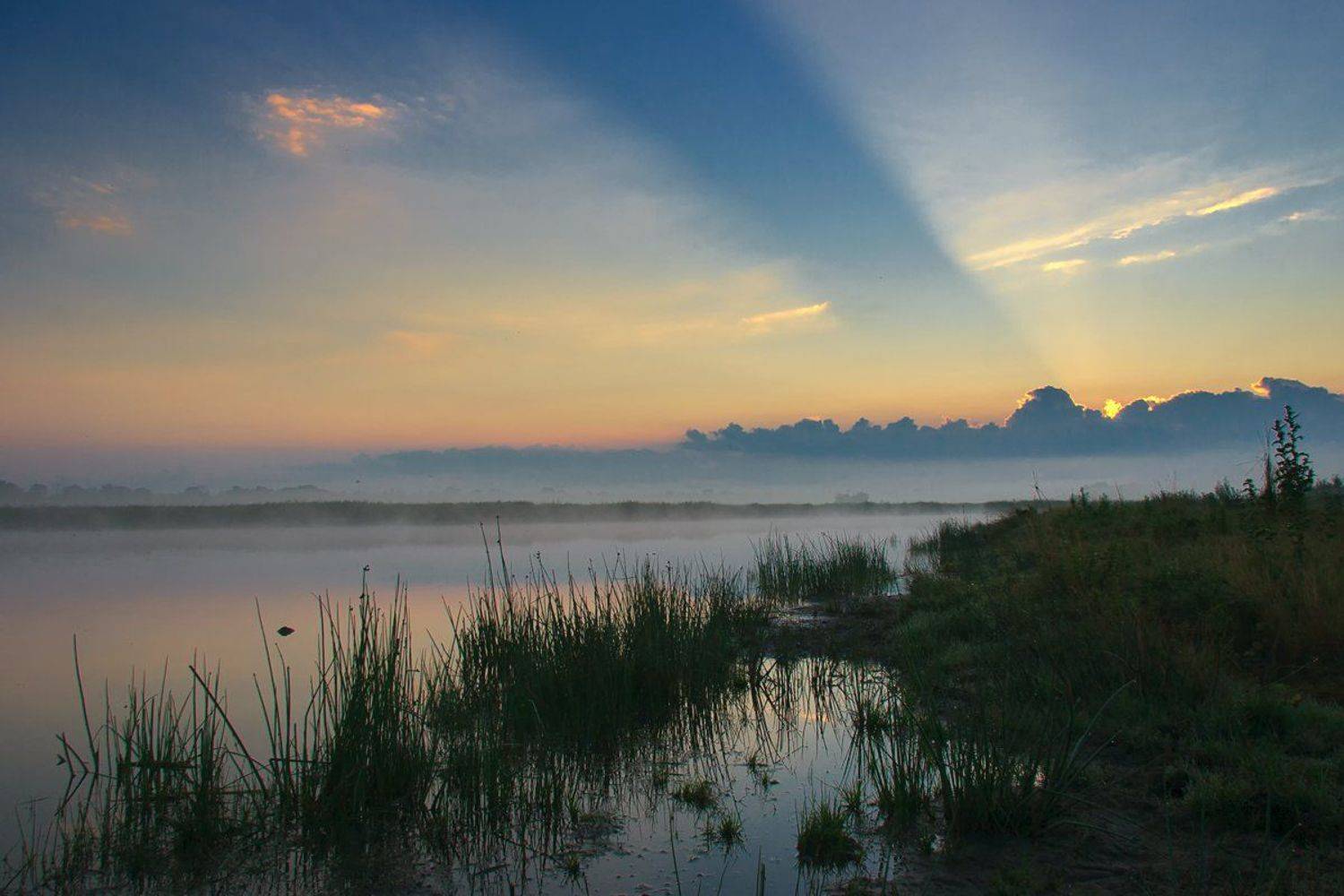 , Александр Войтенко