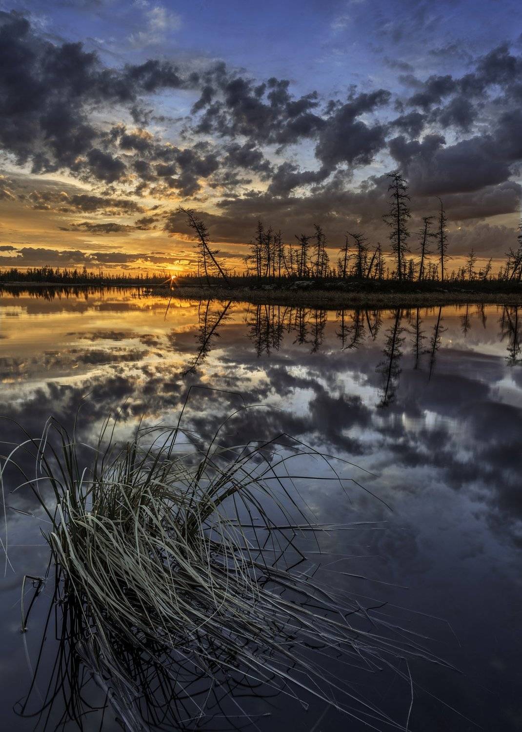 ямал, тундра, пейзаж, болото, россия, canon, закат, ночь, уренгой, новыйуренгой, Камиль Нуреев