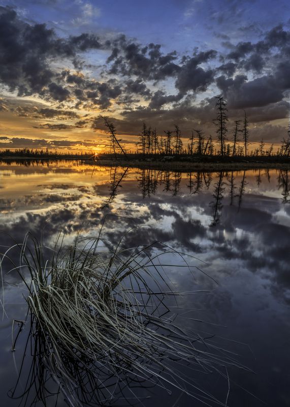 Белые ночи яркие очень фото превью