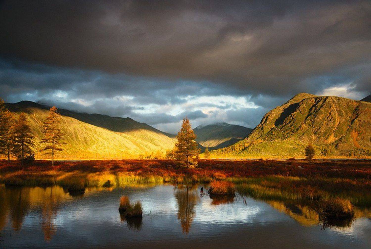 колыма, озеро джека лондона, река пурга, магаданская область, россия, озеро, утро, рассвет, лиственница, ветер, отражение, Алексей Харитонов