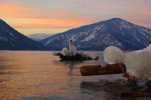 Яйлю, третье утро нового года
