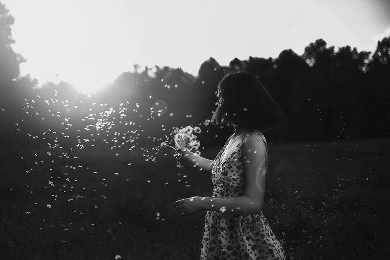 x фото превью