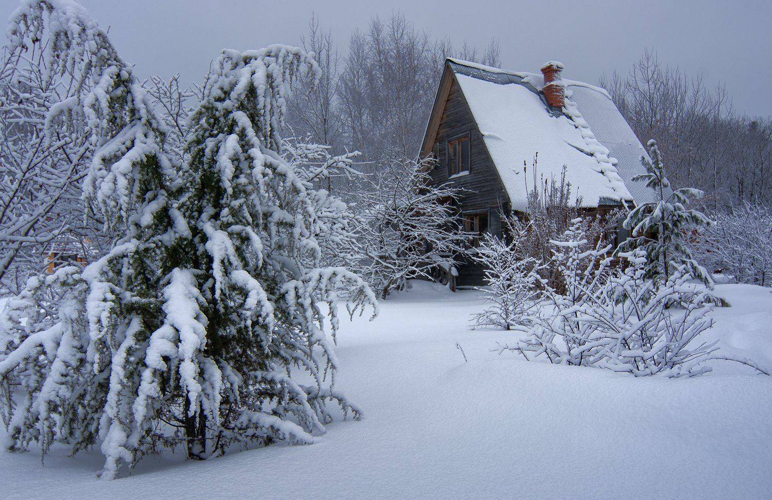 , Дмитрий Асеев