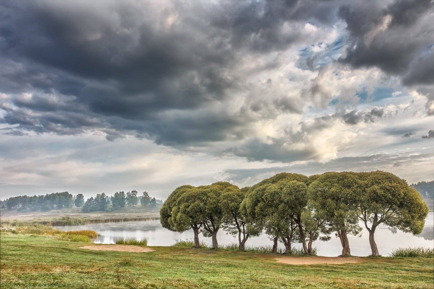 , Николай Андреев