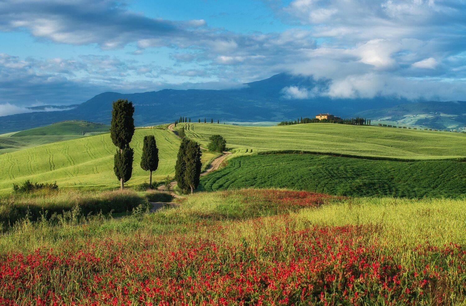 Тоскана Италия Весна пейзаж путешествия , Сергей Давыдов
