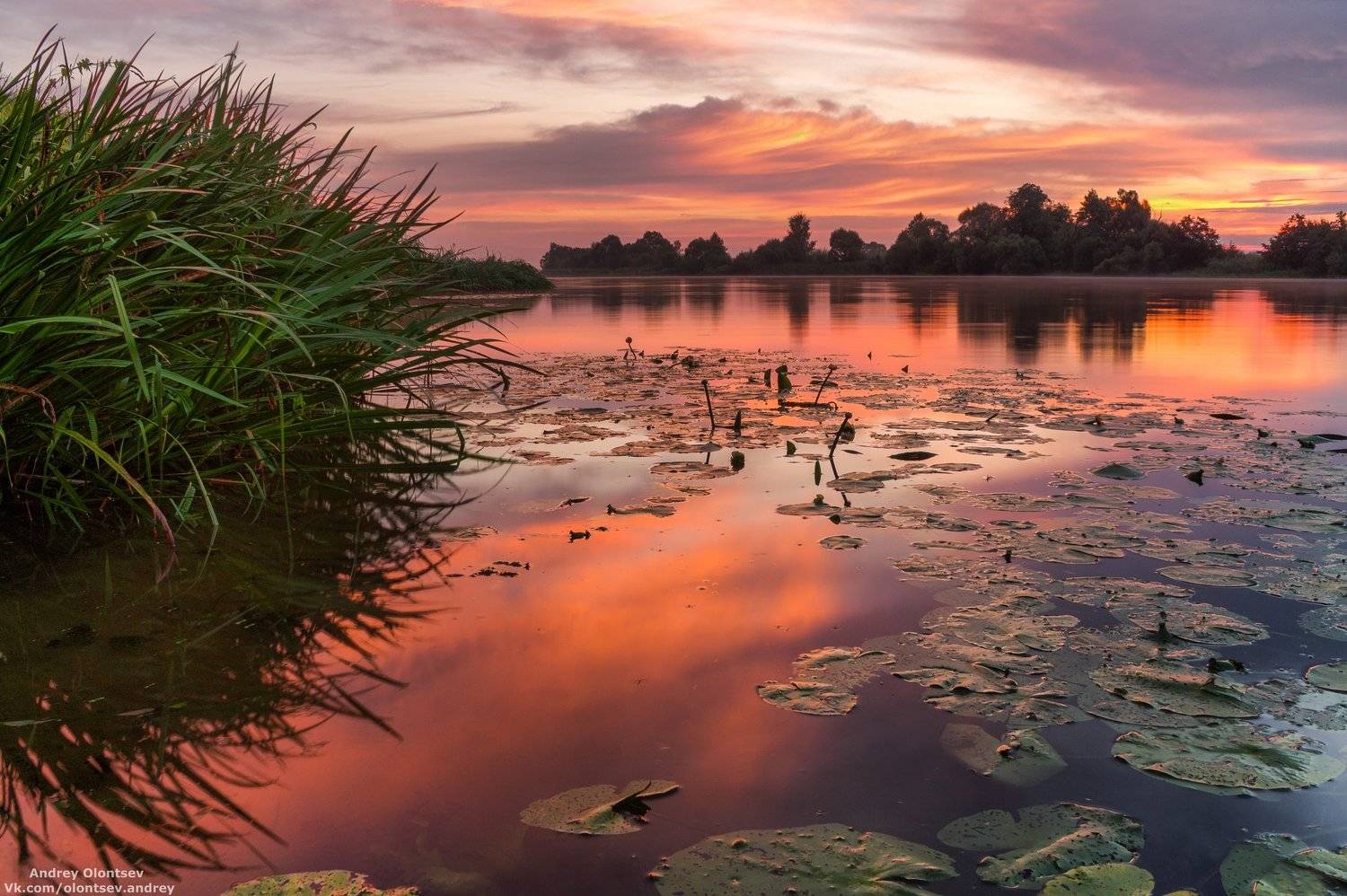 дубна, пейзаж, лето, рассвет, туман, canon, Андрей Олонцев