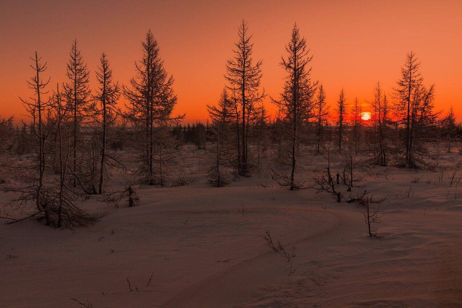 , Евгений Кужилев