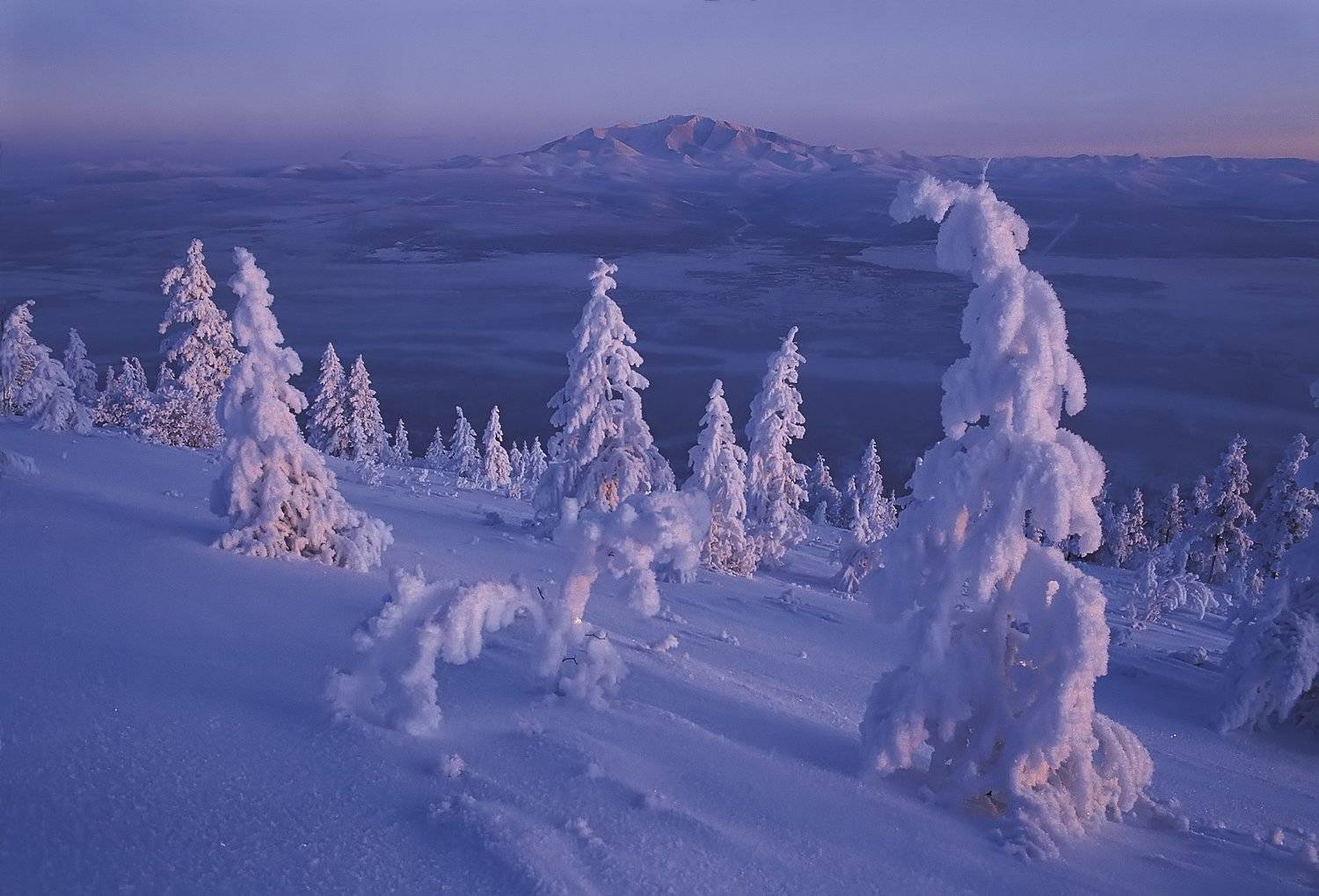 Колыма, зима, изморозь, Сусуман, Владимир Рябков