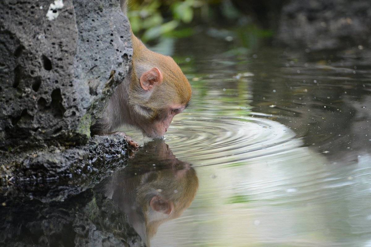 жажда, Александр Маркелов