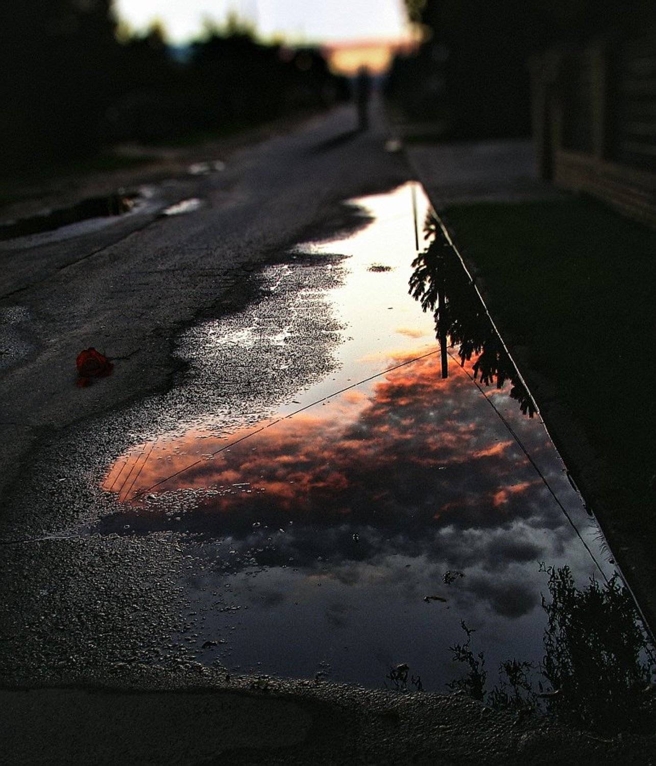 wake,ghost,mood,lost,love,, Emerald Wake &copy;