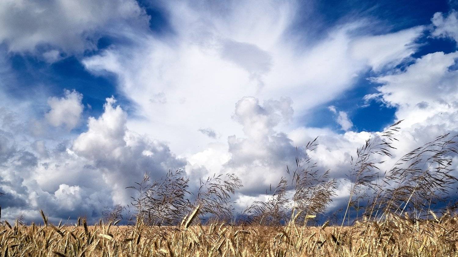 , Медведев Александр