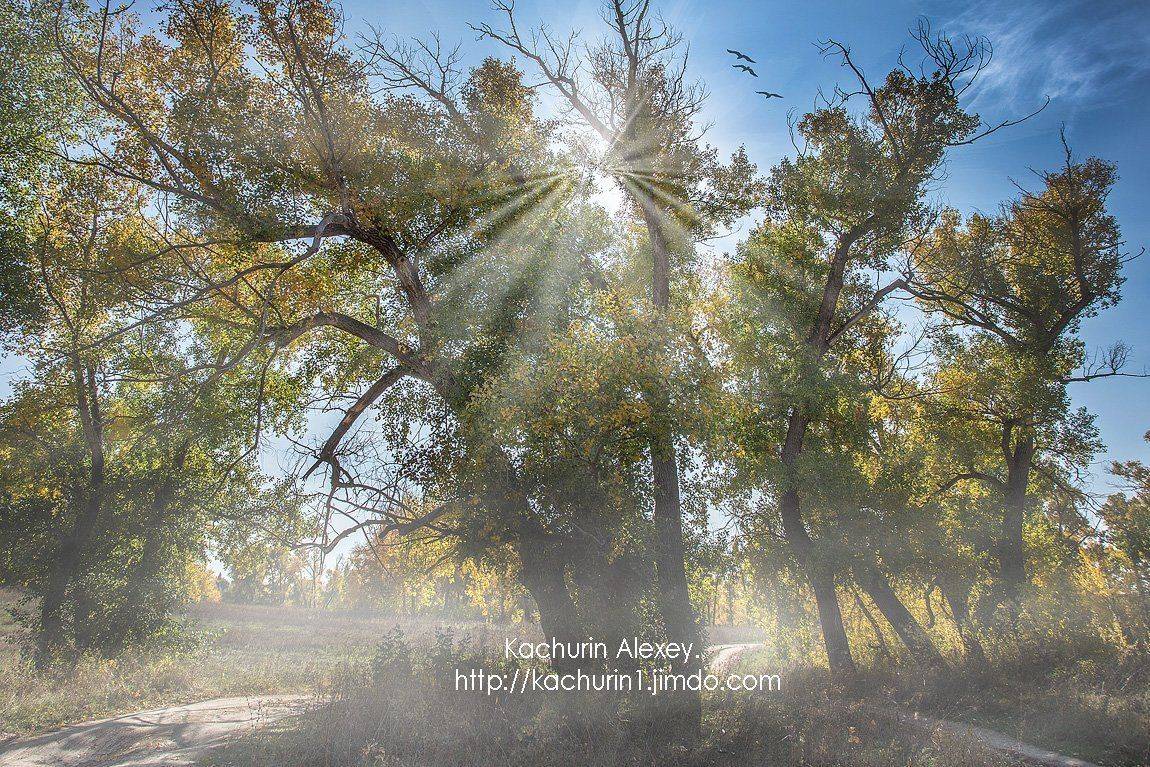 урал,качурин,орск.осень, Качурин Алексей