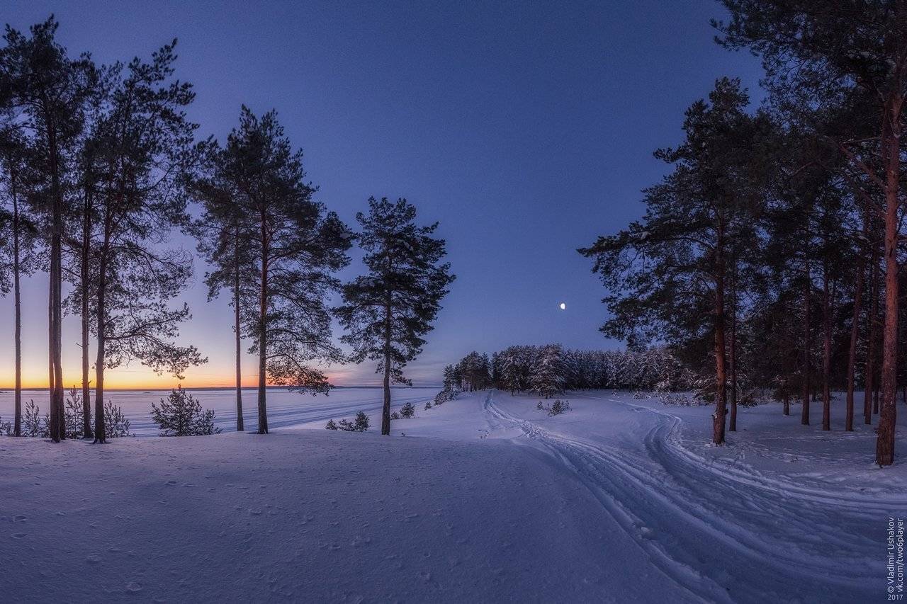 утро, рассвет, мороз, зима, берег, река кама, сосновый бор, луна, пермский край, Владимир Ушаков