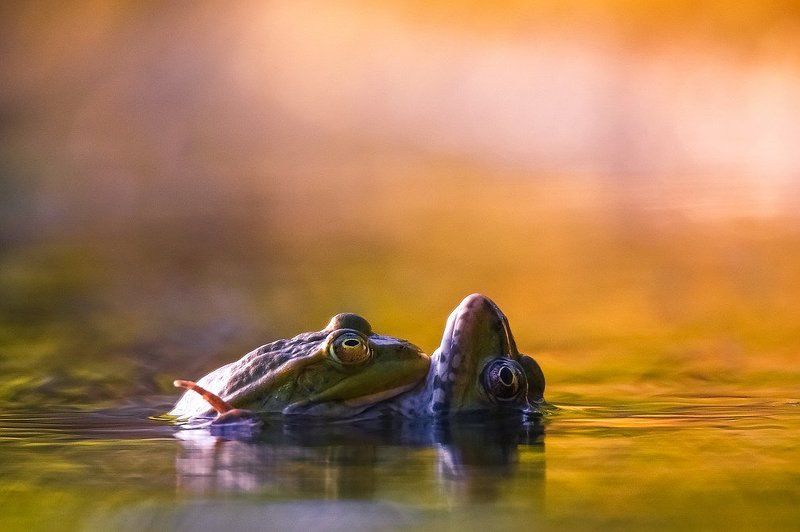 И с одним...и два...и три...и четыре... фото превью