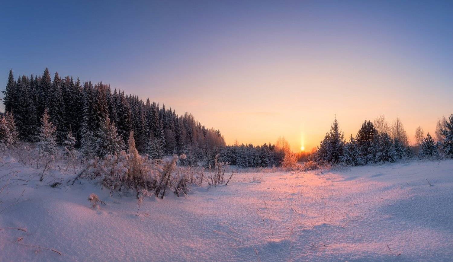 , Устюжанин Михаил