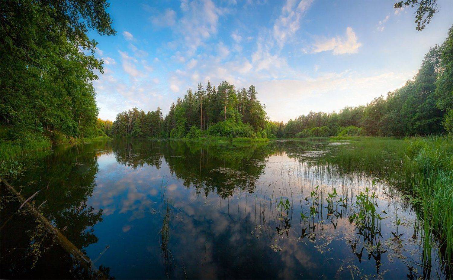 лето, вечер, озеро лес, благодать, природа, печерск, могилев, беларусь, Копычко Михаил